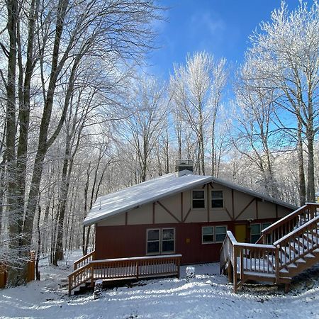 Cozy Cabin With Boosted Wi-Fi بيتش ماونتن المظهر الخارجي الصورة