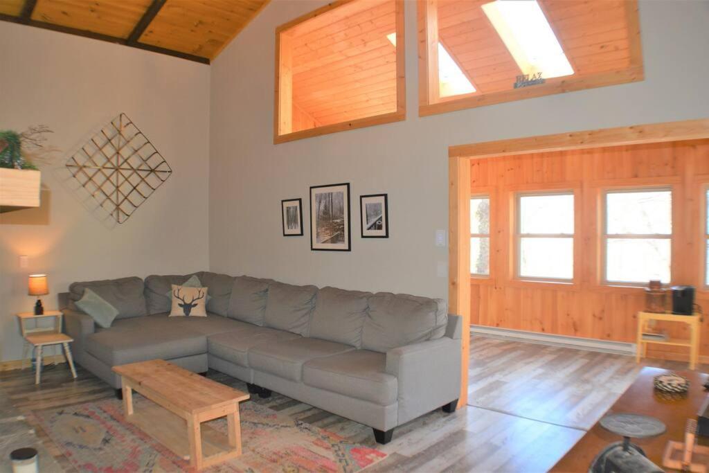 Cozy Cabin With Boosted Wi-Fi بيتش ماونتن المظهر الخارجي الصورة