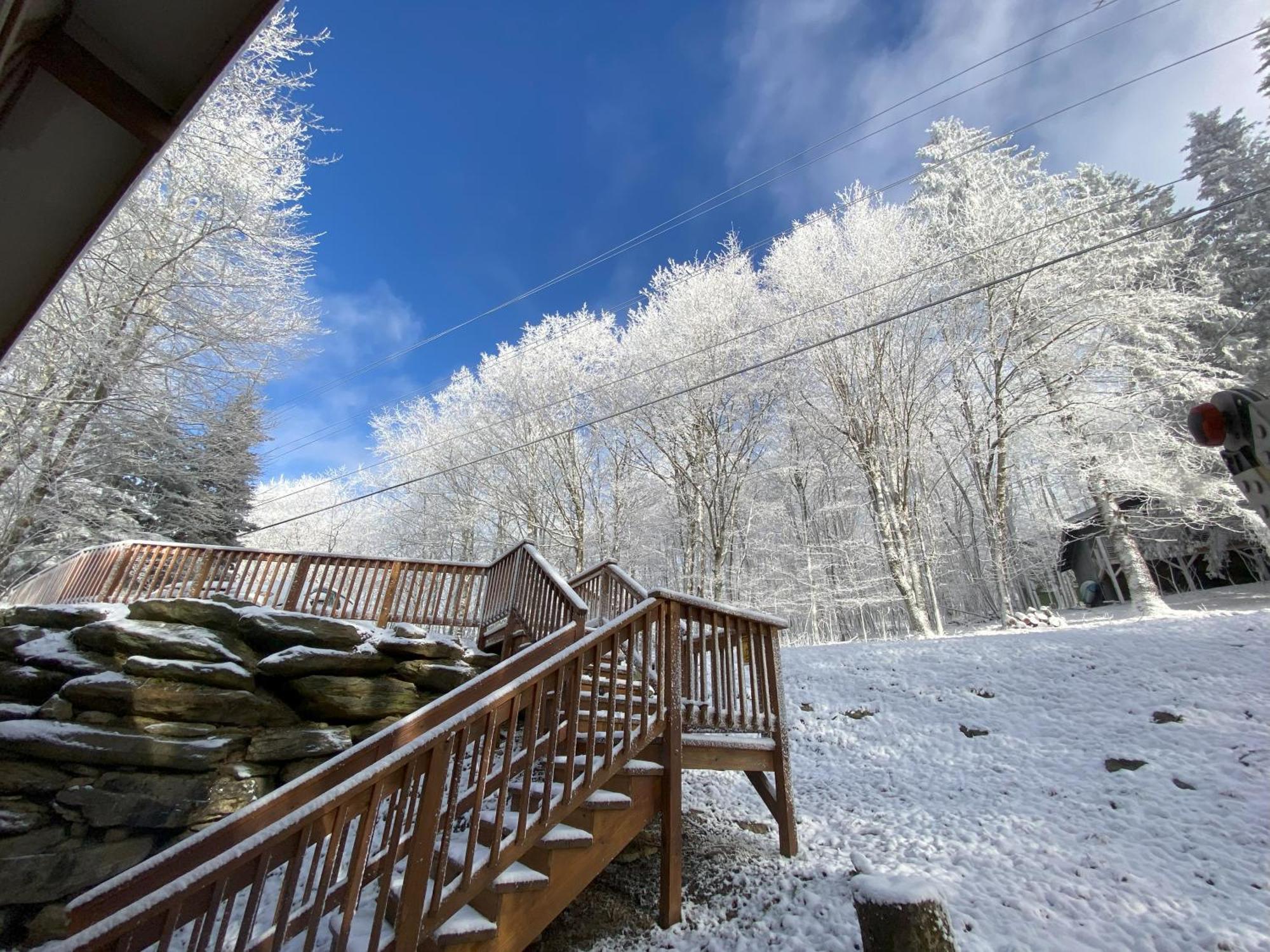 Cozy Cabin With Boosted Wi-Fi بيتش ماونتن المظهر الخارجي الصورة
